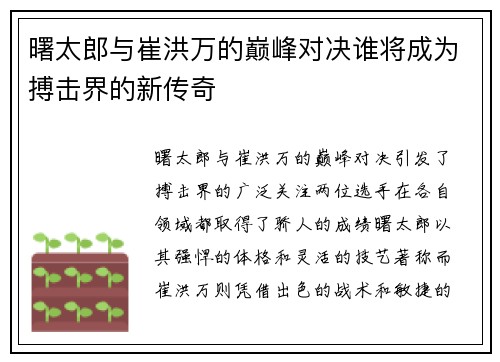 曙太郎与崔洪万的巅峰对决谁将成为搏击界的新传奇