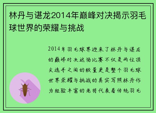 林丹与谌龙2014年巅峰对决揭示羽毛球世界的荣耀与挑战