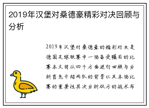 2019年汉堡对桑德豪精彩对决回顾与分析