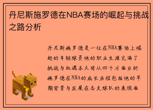 丹尼斯施罗德在NBA赛场的崛起与挑战之路分析